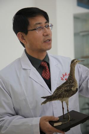 工作照1